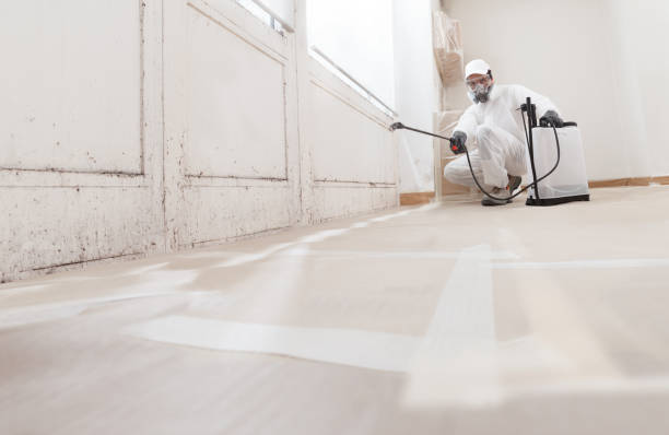 24/7 Emergency Attic Mold Remediation experts in Fort Pierce North, FL